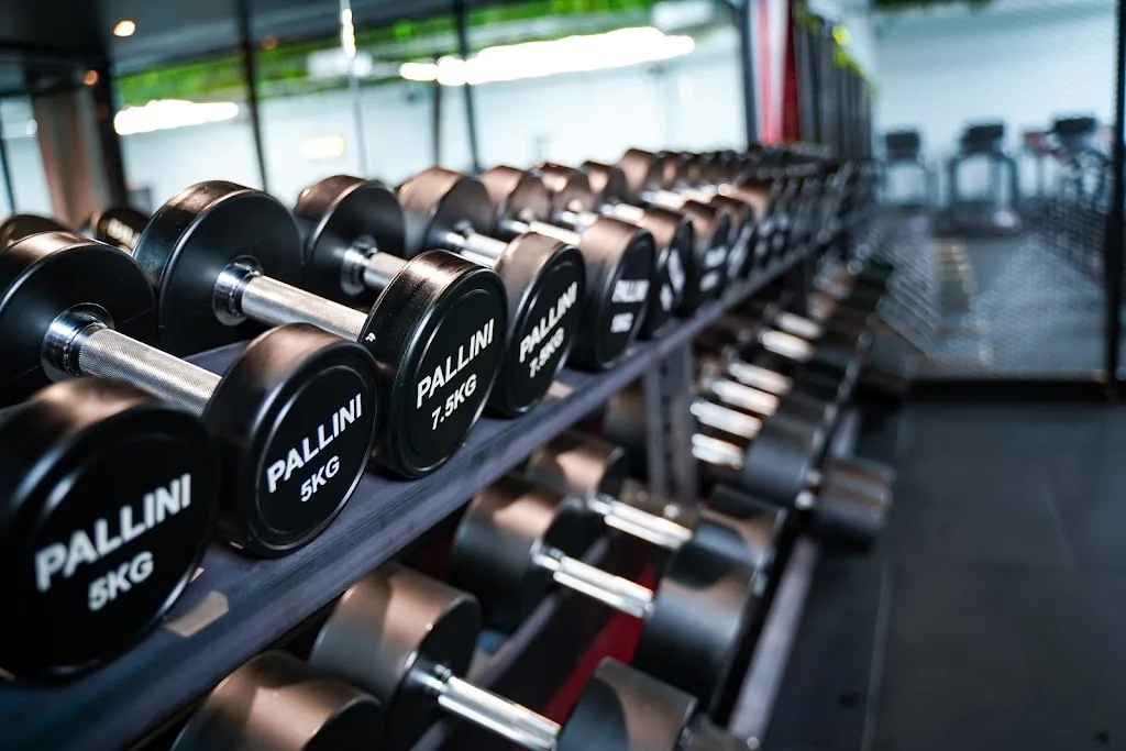 UNIT GYM - photo 1