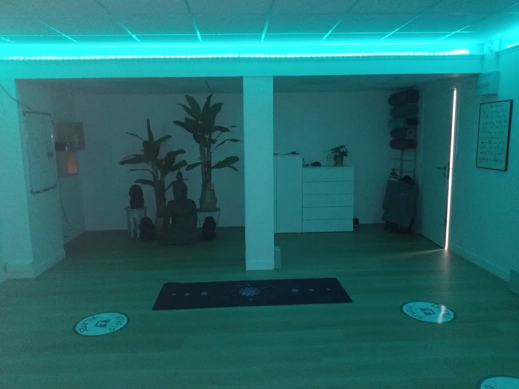 Setalip Studio - photo 2