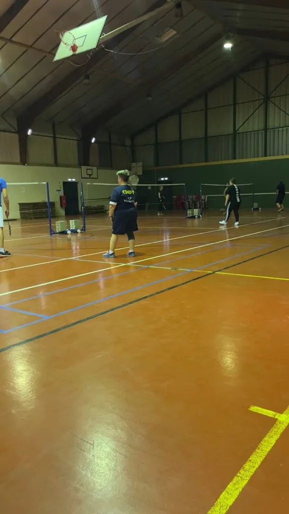 SCF BADMINTON - photo 2