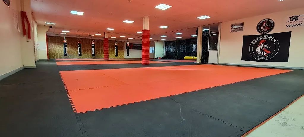 Fight Team Factory - photo 1