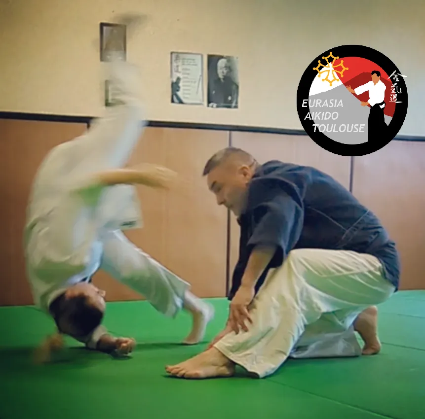 Eurasia Aikido Toulouse - photo 2