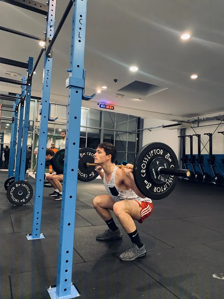 LMCFIT - photo 1