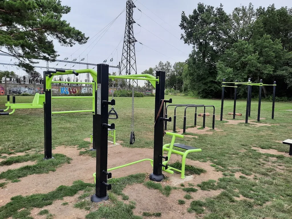 Street Workout du Lac Des Bretonnières - photo 1