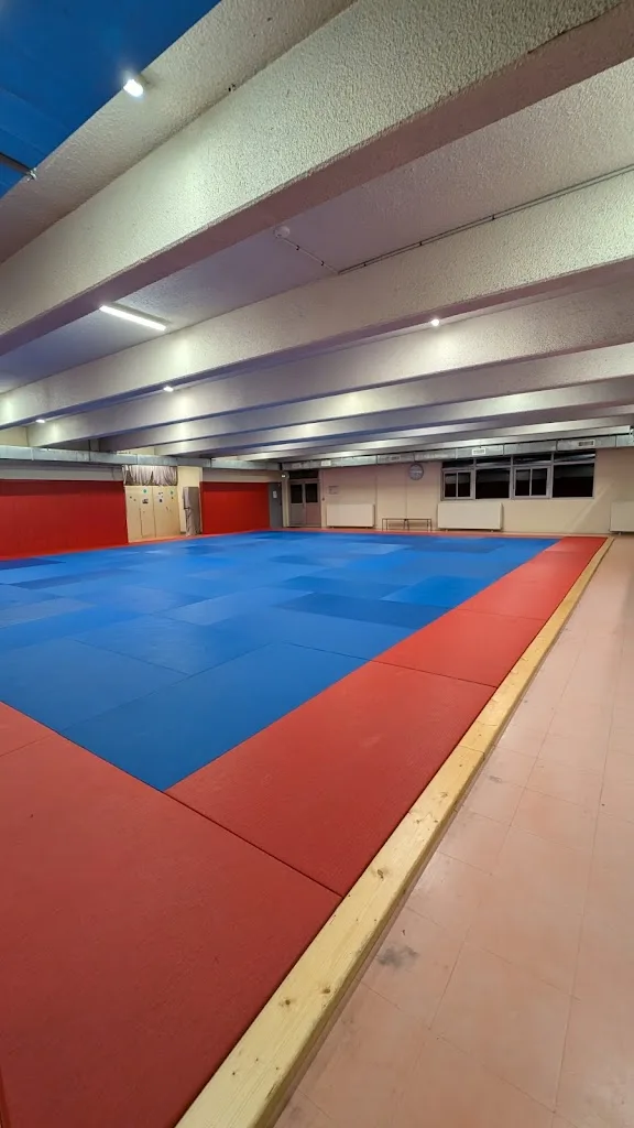 Club de Gymnastique Volontaire - photo 2