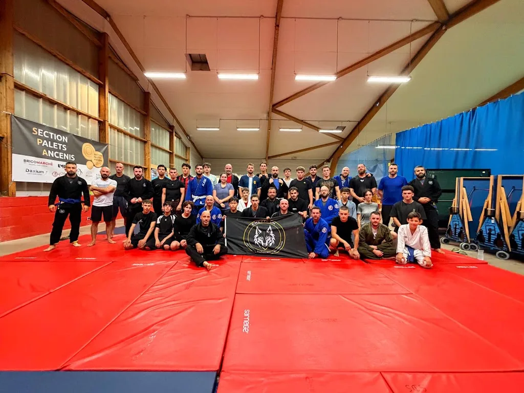 JJB NJA HYBRID TEAM - photo 3