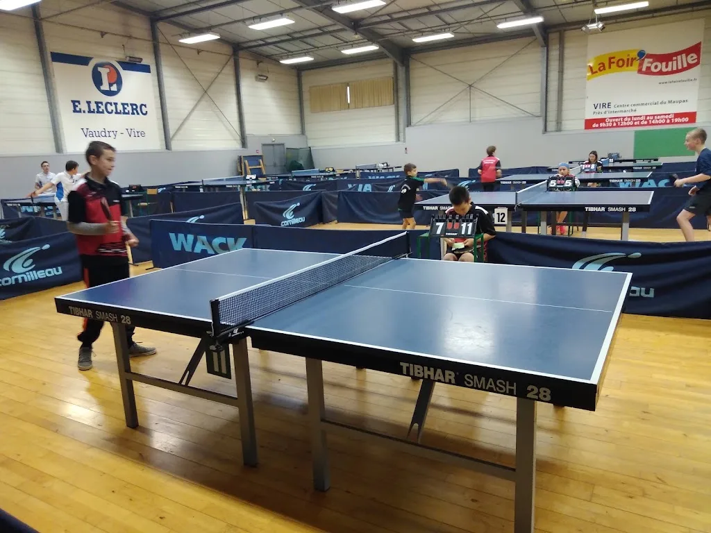 USM VIRE Tennis de table - photo 1
