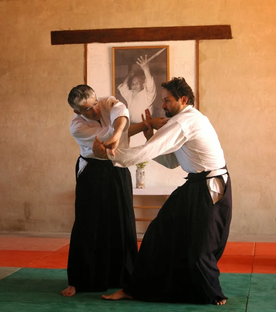 aikido club muret - photo 1