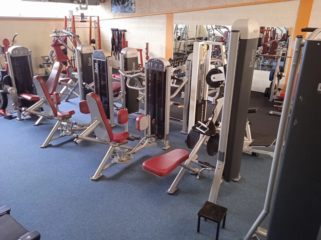 Alpha Dynamik Club Lutte & Musculation - photo 2