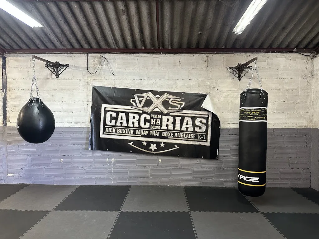 Carcharias Boxing Saint Sulpice - photo 1