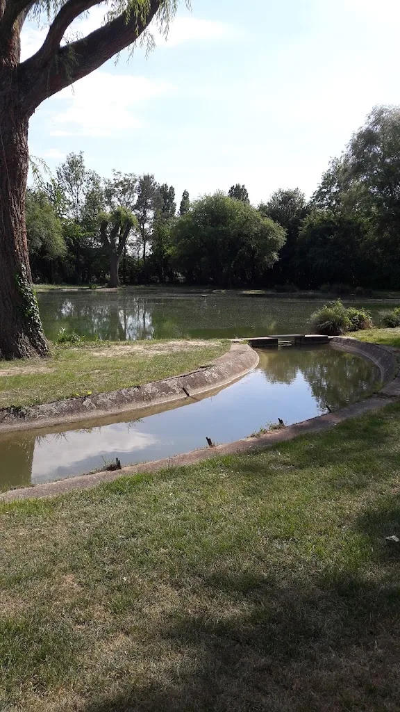 Ass de Peche la Truite Du Rhin - photo 2