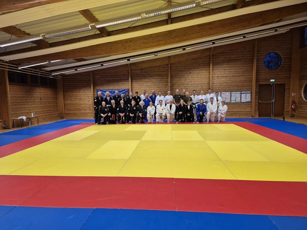 Dojo aikikai Colmar - photo 3