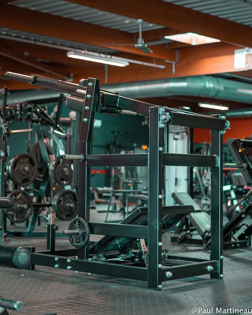 FLEX GYM PERFORMANCE - photo 1
