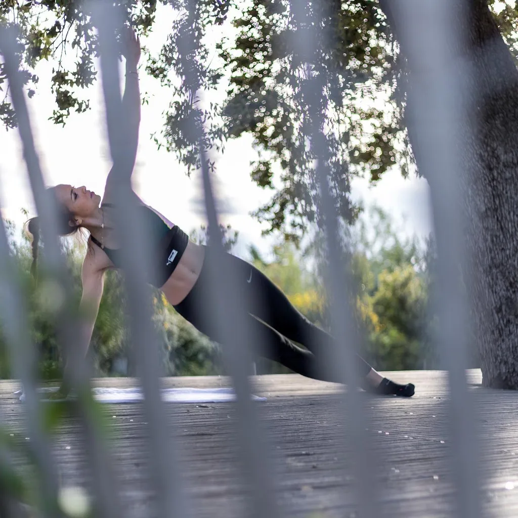 Kinharmonie - photo 1