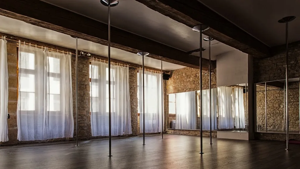Gravity Pole Dance Studio - photo 2