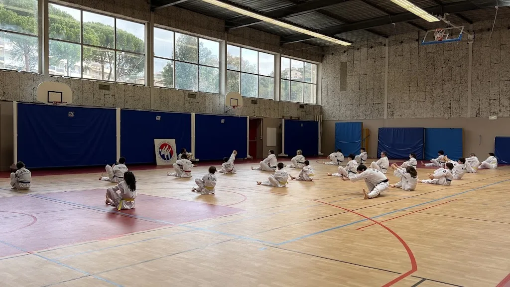 Taekwondo Master Park - photo 3
