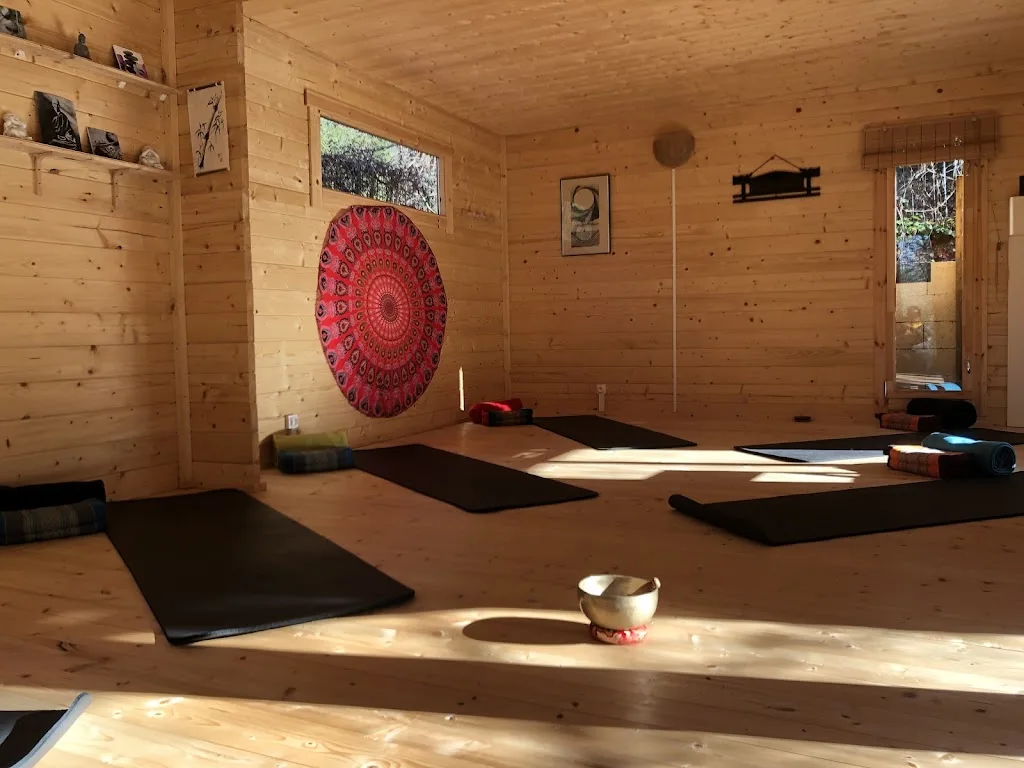 Le Yoga Et Le Lotus - photo 1
