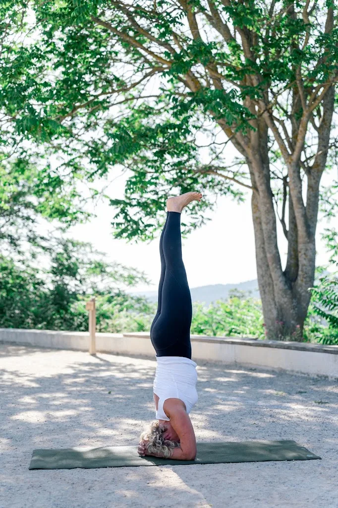 Le Yoga Et Le Lotus - photo 2