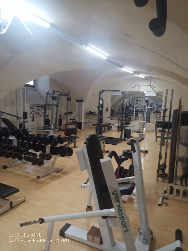 COCCM Club Omnisport Couizanais Culturisme et Musculation