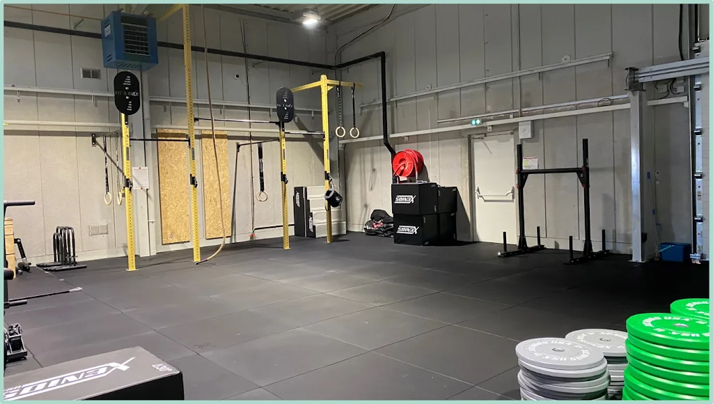 CrossFit Ladder - photo 1