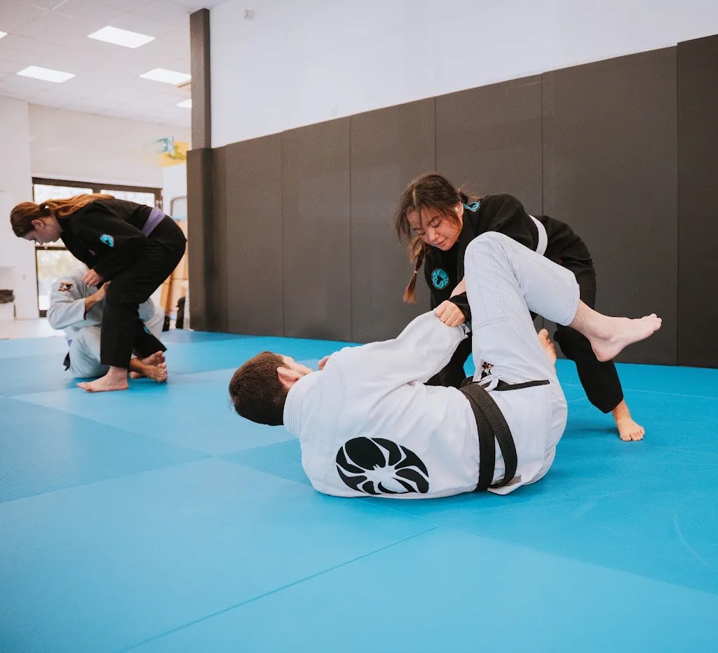 Pugiland Labège - JJB - MMA - photo 1