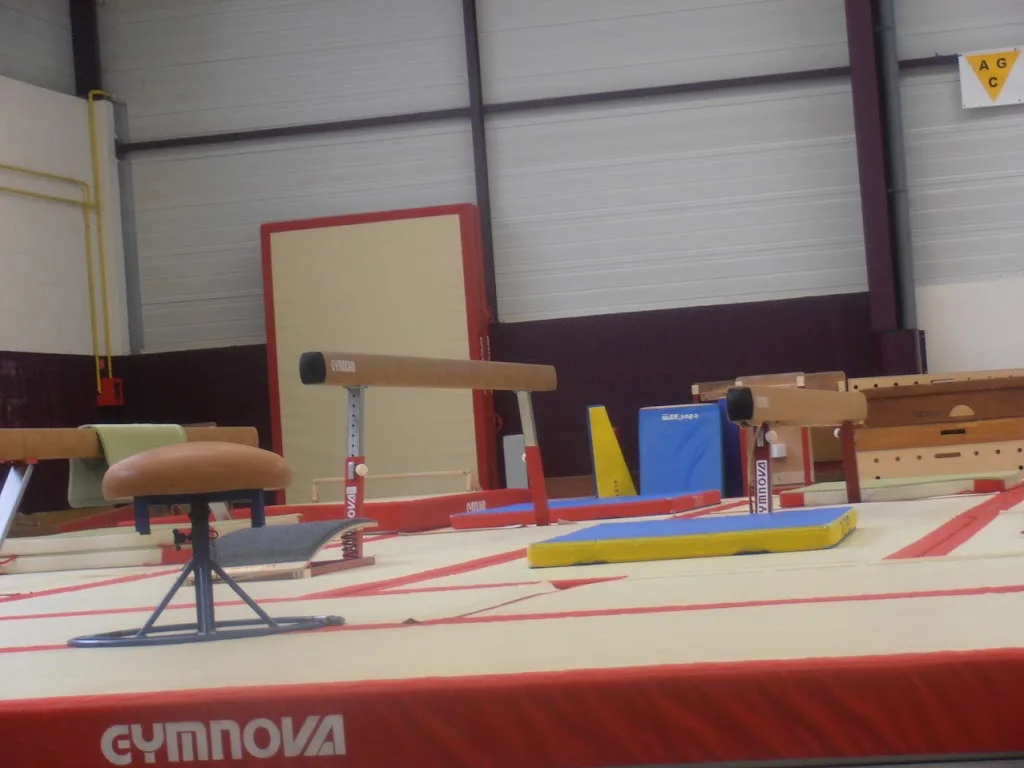 Avenir Gymnique la Chataigneraie - photo 1