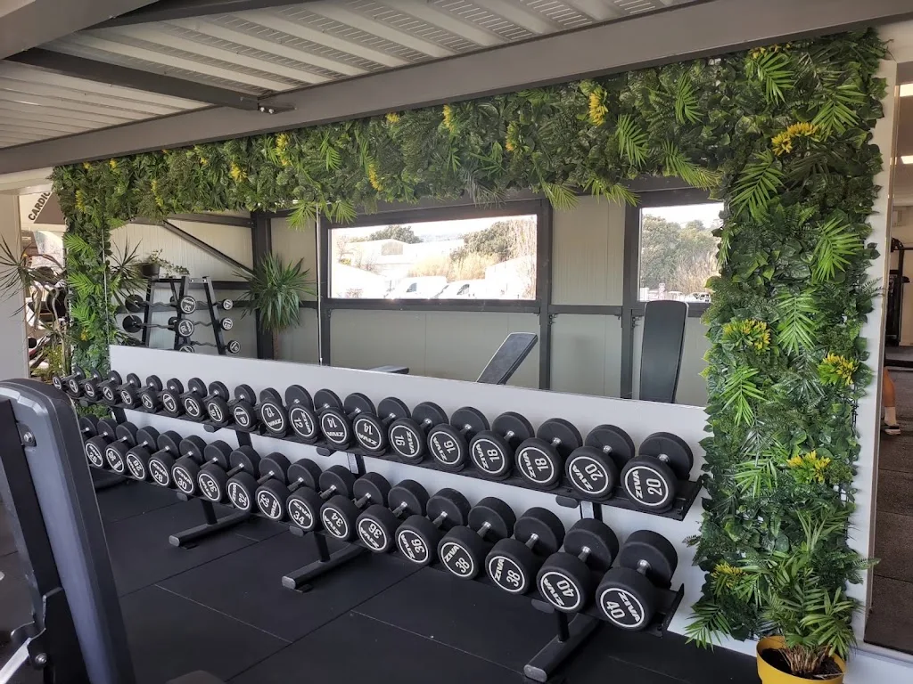 Gymnase de la Bastide Bertin - photo 2