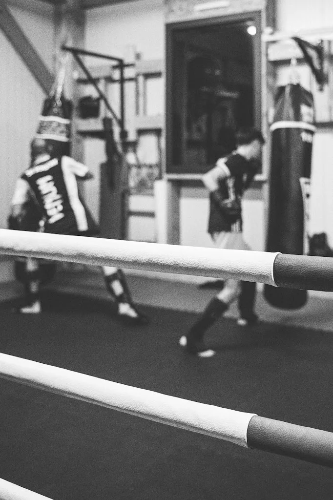 BOXE LATITUDE - photo 1