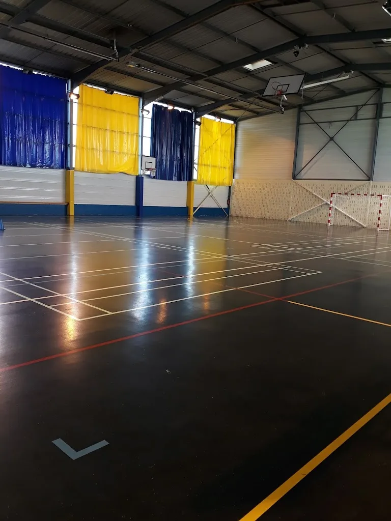 Social Sport & Performance - photo 1