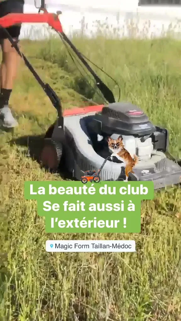 Magic Form Taillan Médoc - photo 1
