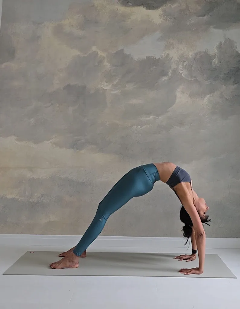 Maison Gaïa & Ouranos Yoga Studio - photo 1