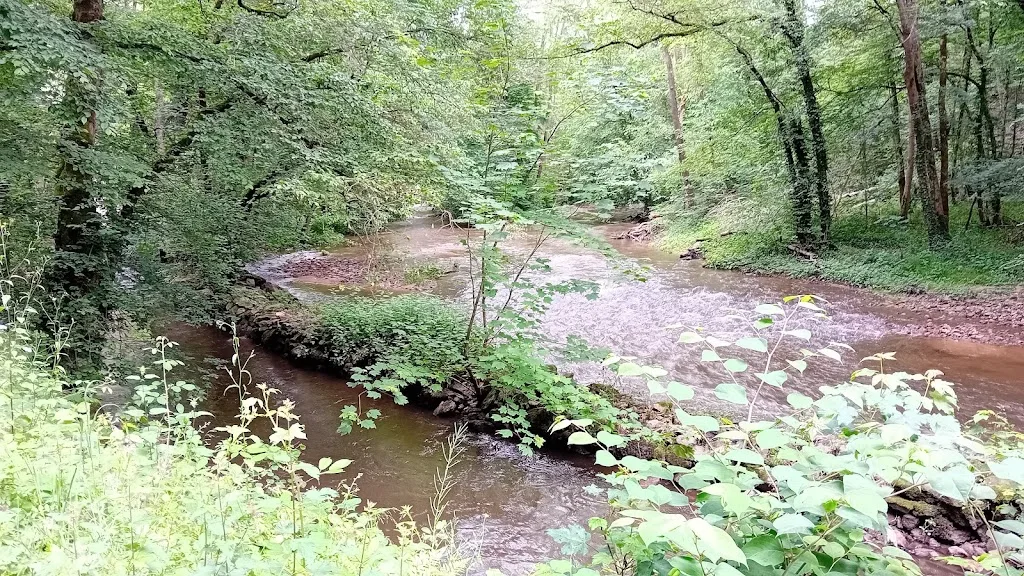PAC Avallon - photo 1