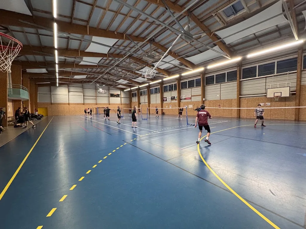 Badminton Loisir Nesmy - photo 1