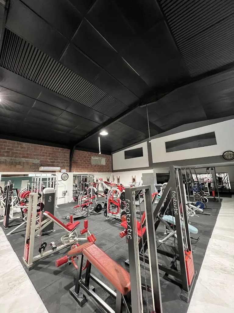 Lalune Gym, Association de Gymnastique Artistique - photo 2