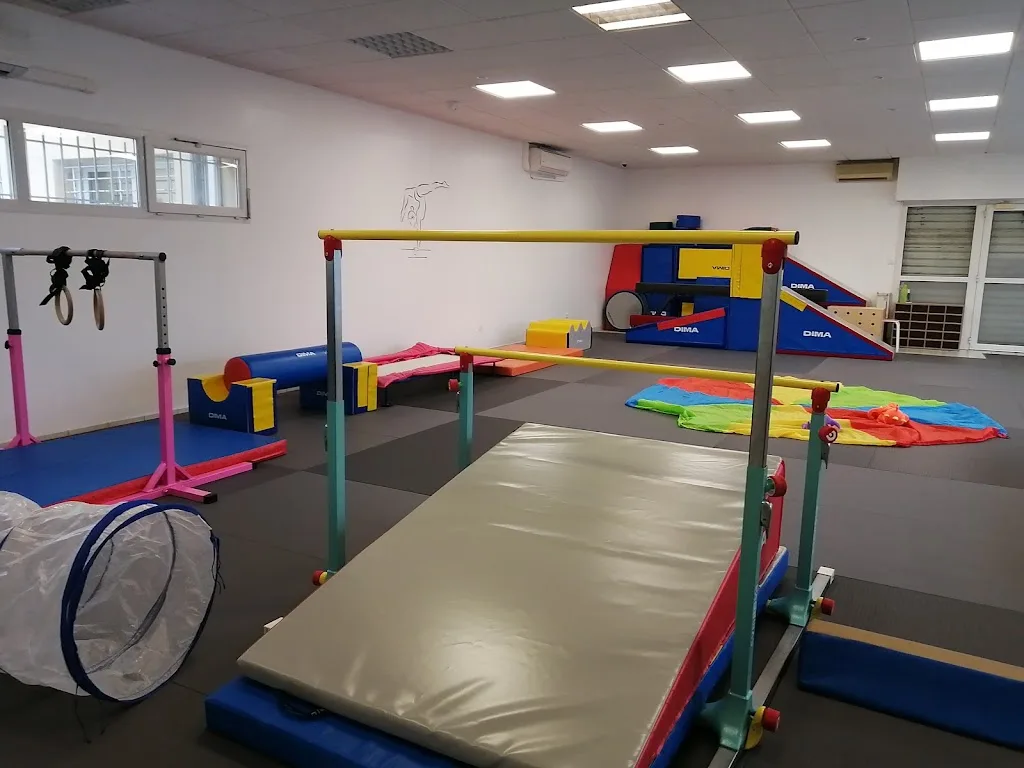 Lalune Gym, Association de Gymnastique Artistique - photo 3