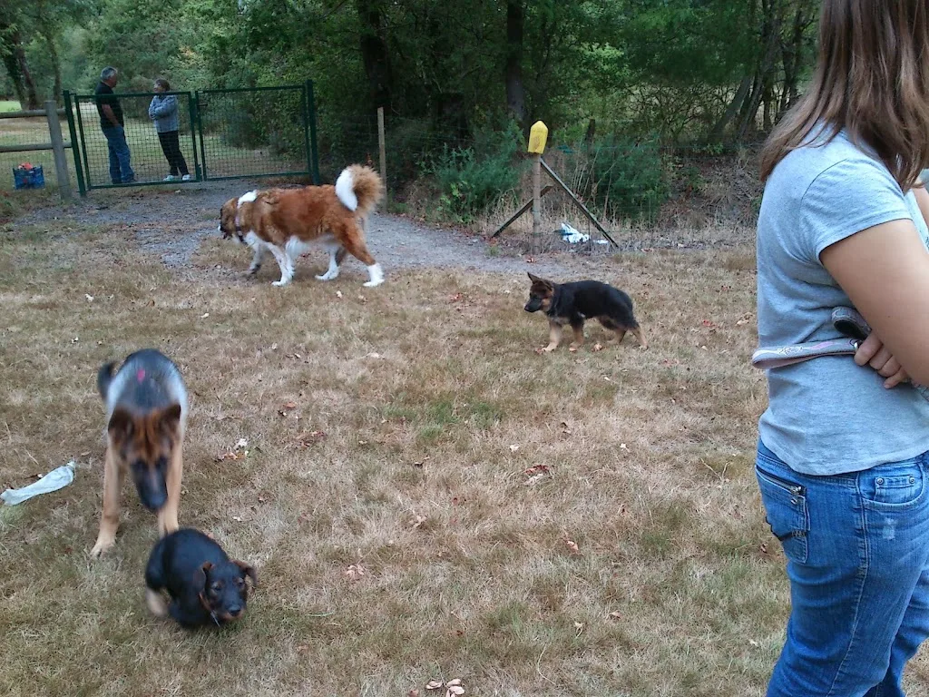 Bouguenais Sport Canin - photo 1
