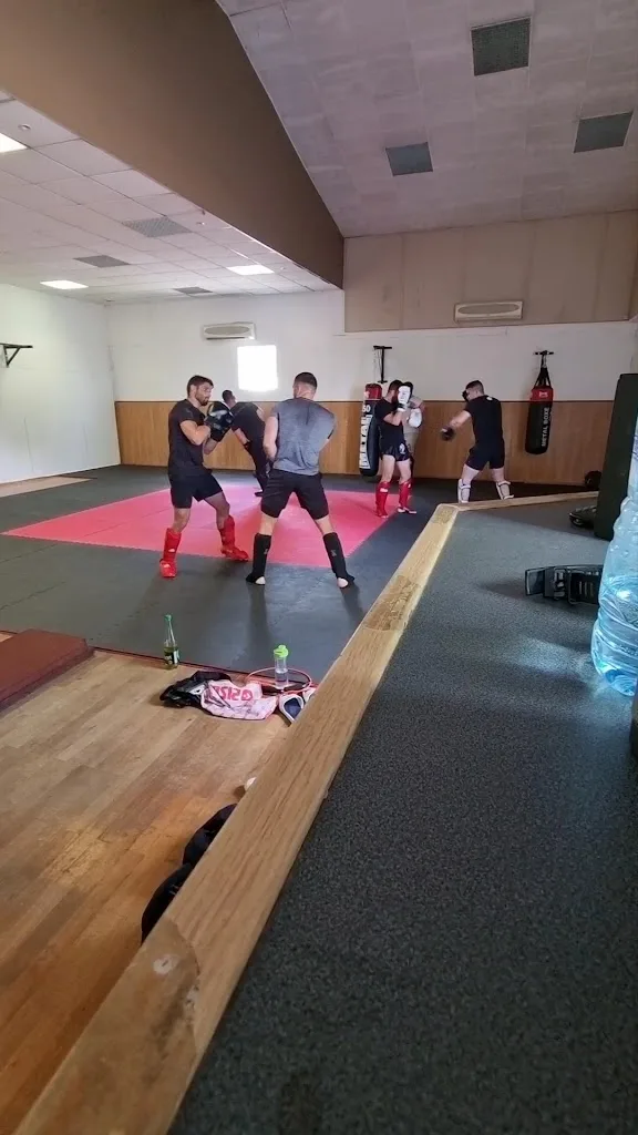 Viking sport club - photo 3