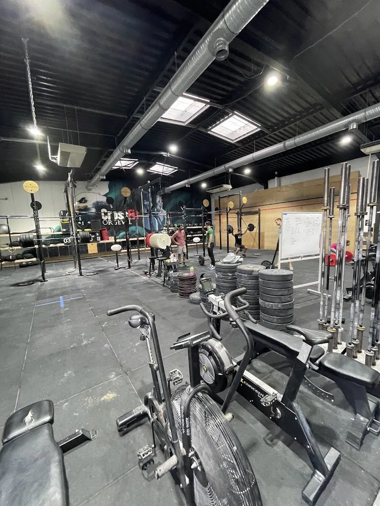 CROSSFIT ORGEVAL, sport santé - photo 2