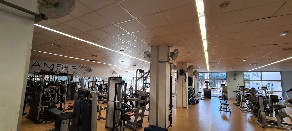 AMSLF Musculation / Fitness - Salle Roland Surfaro - photo 1