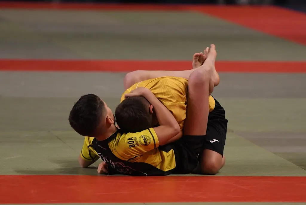 Impact Fight Avignon : Jiujitsu, Grappling, MMA, Kickboxing, Judo, Cross-training - photo 1