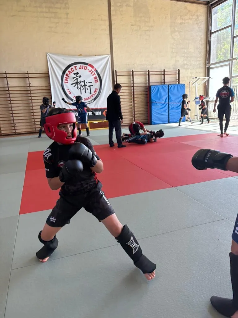 Impact Fight Avignon : Jiujitsu, Grappling, MMA, Kickboxing, Judo, Cross-training - photo 2