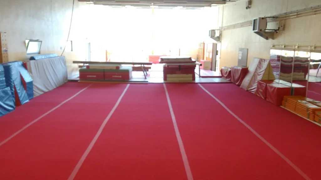 La Châtillonnaise Gymnastique - photo 1