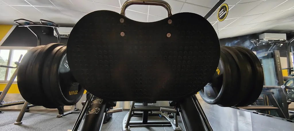 VENICEGYM TRETS - photo 2