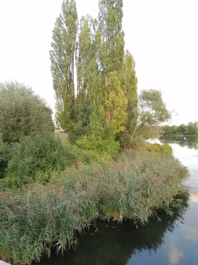 Club Kayak - photo 2