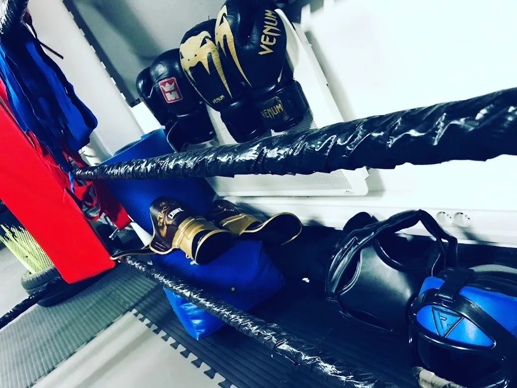 Z-contact Boxe, K1, Préparation Physique - photo 1