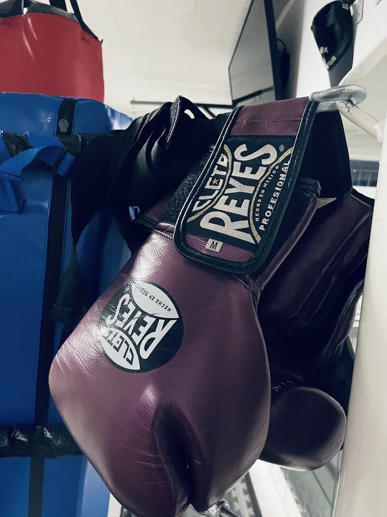 Z-contact Boxe, K1, Préparation Physique - photo 2