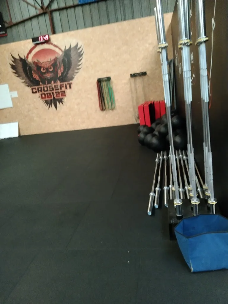 CrossFit OB 22 - photo 2
