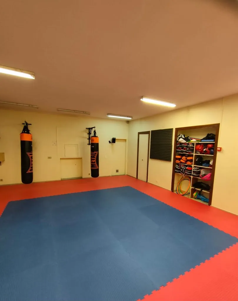 K1 team - photo 2