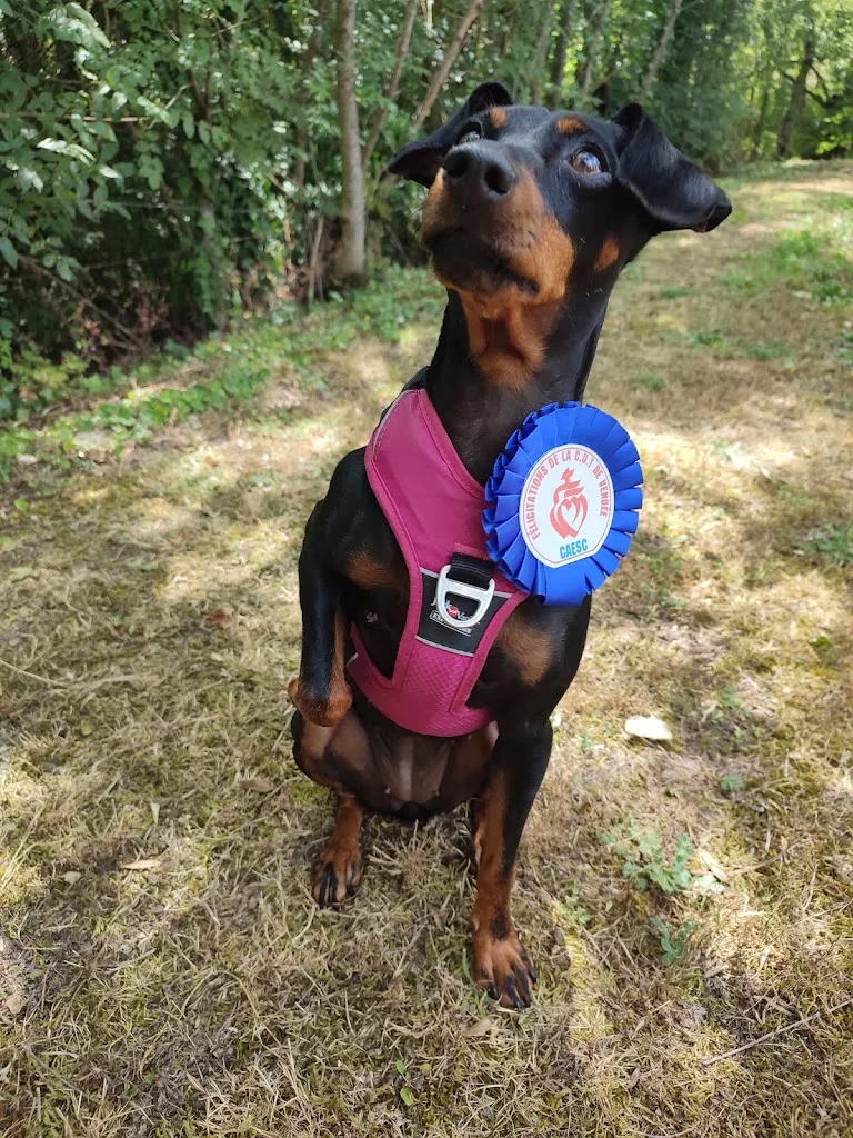 Club Canin Gemmois - photo 3