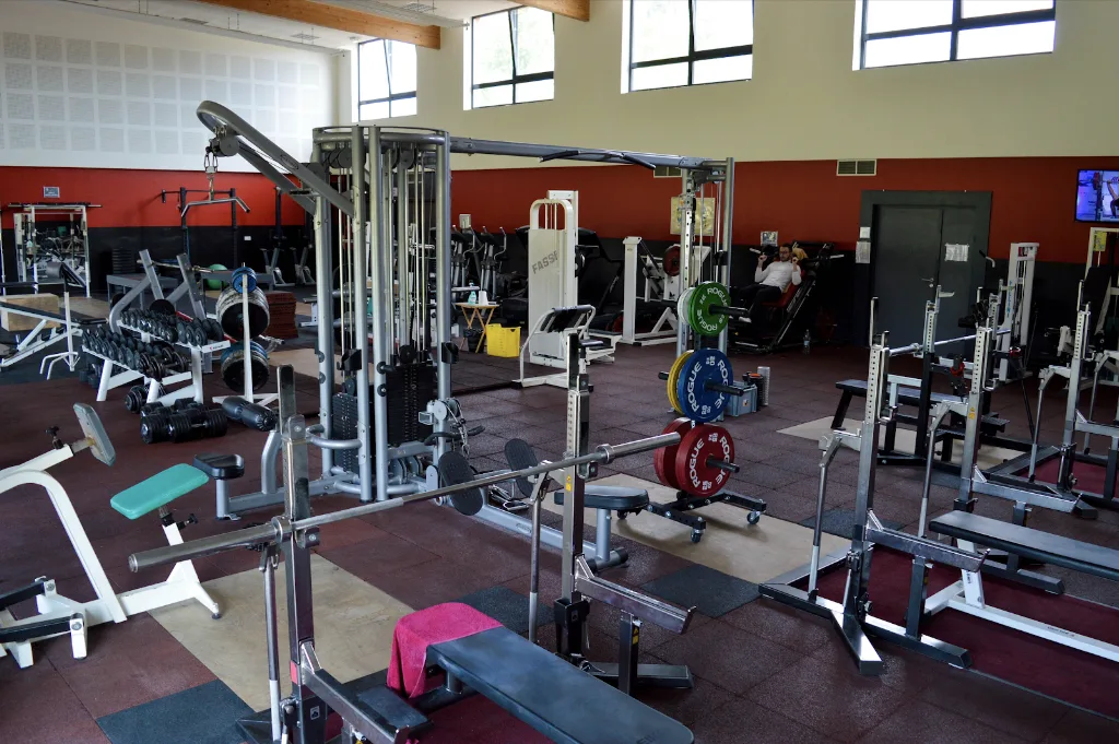 Basic-Fit Haguenau rue St Exupery - photo 2