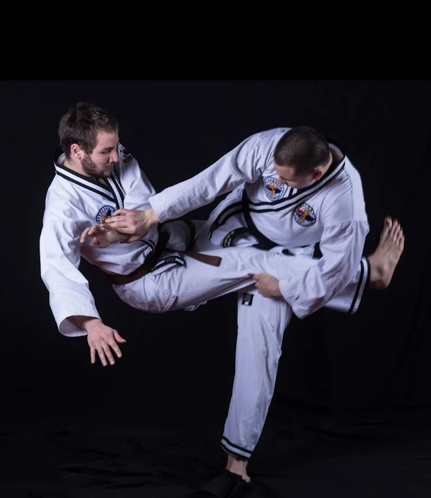 Hapkido Jin Jung Kwan - photo 1